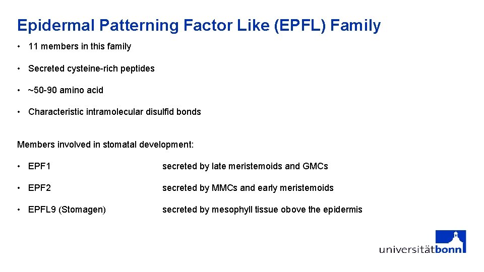 Epidermal Patterning Factor Like (EPFL) Family • 11 members in this family • Secreted