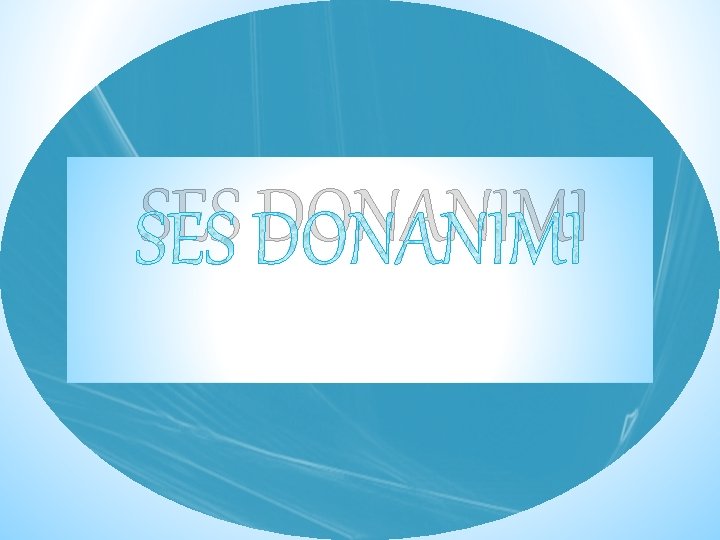 SES DONANIMI 