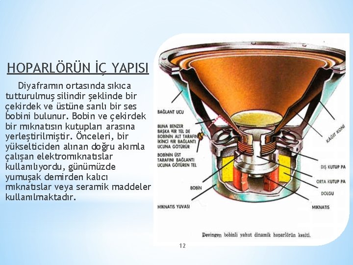 HOPARLÖRÜN İÇ YAPISI Diyaframın ortasında sıkıca tutturulmuş silindir şeklinde bir çekirdek ve üstüne sarılı