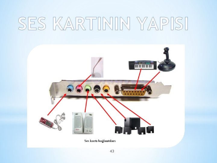 SES KARTININ YAPISI 43 