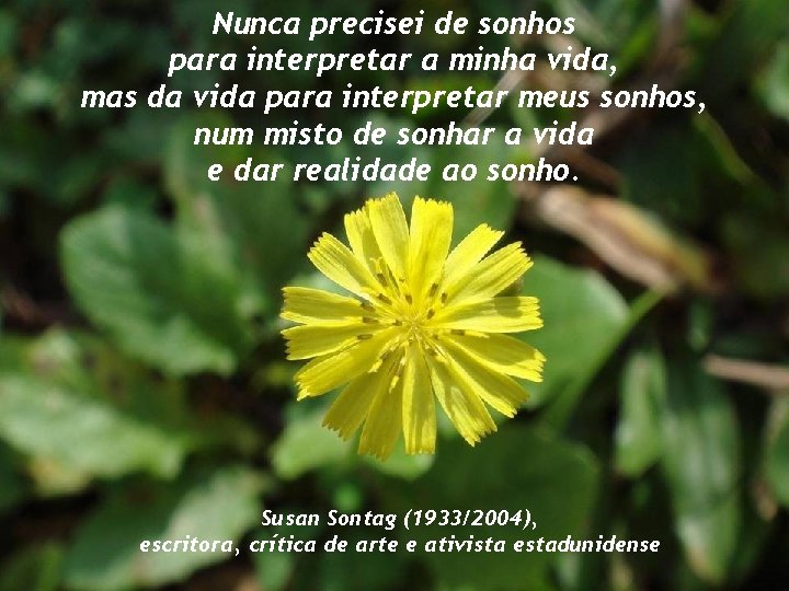 Nunca precisei de sonhos para interpretar a minha vida, mas da vida para interpretar