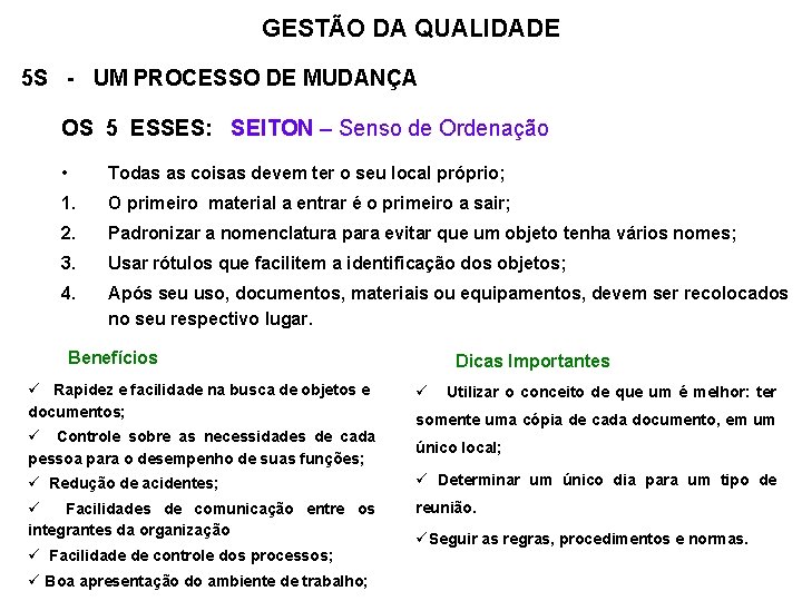 GESTÃO DA QUALIDADE 5 S - UM PROCESSO DE MUDANÇA OS 5 ESSES: SEITON