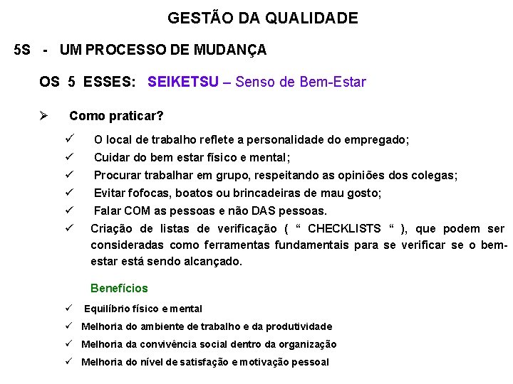 GESTÃO DA QUALIDADE 5 S - UM PROCESSO DE MUDANÇA OS 5 ESSES: SEIKETSU