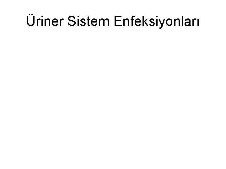 Üriner Sistem Enfeksiyonları 