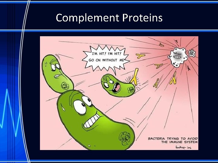 Complement Proteins 