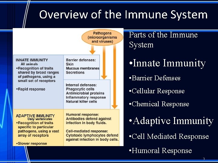 Overview of the Immune System Parts of the Immune System • Innate Immunity •