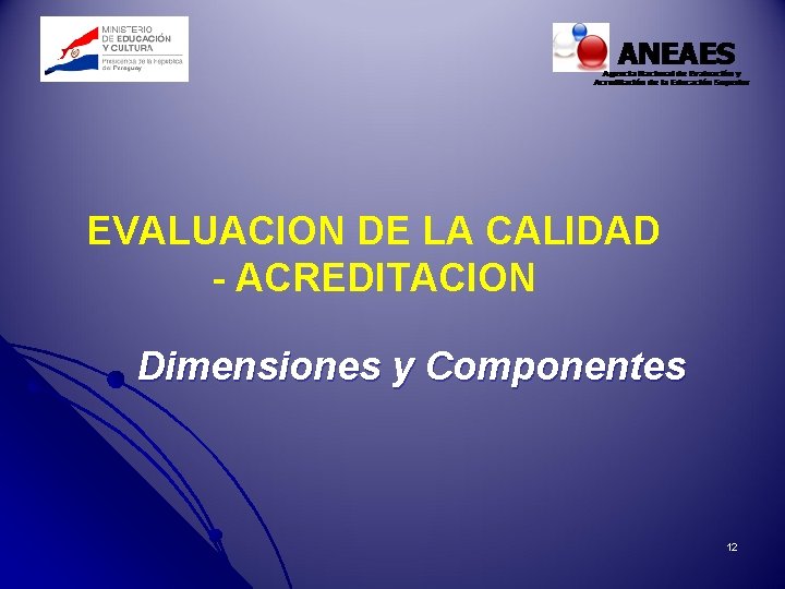 EVALUACION DE LA CALIDAD - ACREDITACION Dimensiones y Componentes 12 