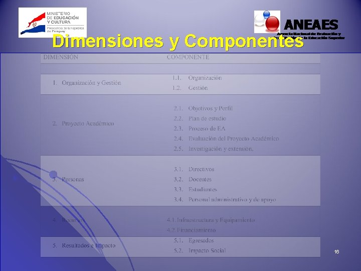 Dimensiones y Componentes 16 