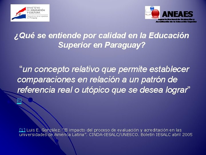 ¿Qué se entiende por calidad en la Educación Superior en Paraguay? “un concepto relativo