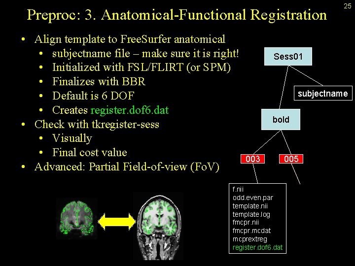 Preproc: 3. Anatomical-Functional Registration • Align template to Free. Surfer anatomical • subjectname file