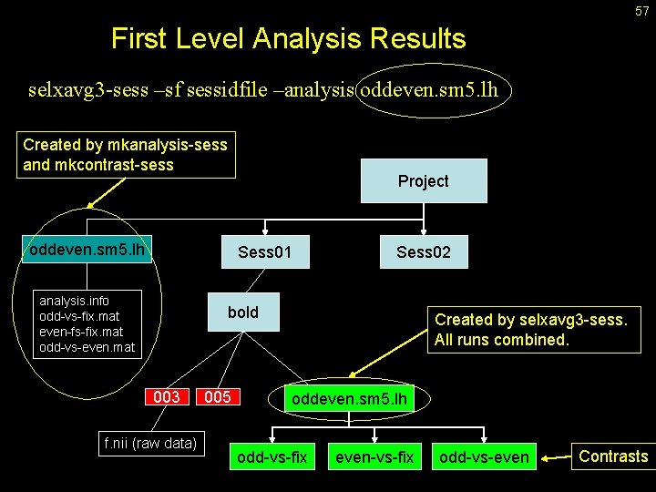 57 First Level Analysis Results selxavg 3 -sess –sf sessidfile –analysis oddeven. sm 5.