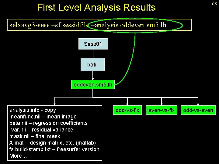 First Level Analysis Results 58 selxavg 3 -sess –sf sessidfile –analysis oddeven. sm 5.