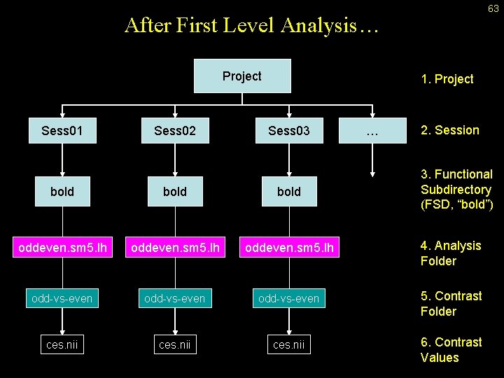 63 After First Level Analysis… Project Sess 01 Sess 02 1. Project Sess 03