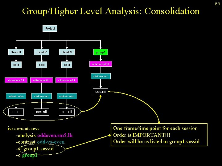 Group/Higher Level Analysis: Consolidation Project Sess 01 Sess 02 Sess 03 group 1 bold
