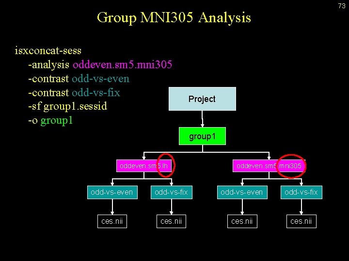 73 Group MNI 305 Analysis isxconcat-sess -analysis oddeven. sm 5. mni 305 -contrast odd-vs-even