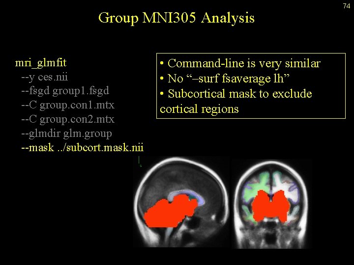 Group MNI 305 Analysis mri_glmfit --y ces. nii --fsgd group 1. fsgd --C group.