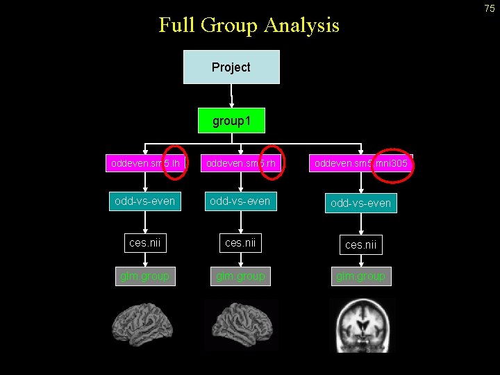 75 Full Group Analysis Project group 1 oddeven. sm 5. lh oddeven. sm 5.