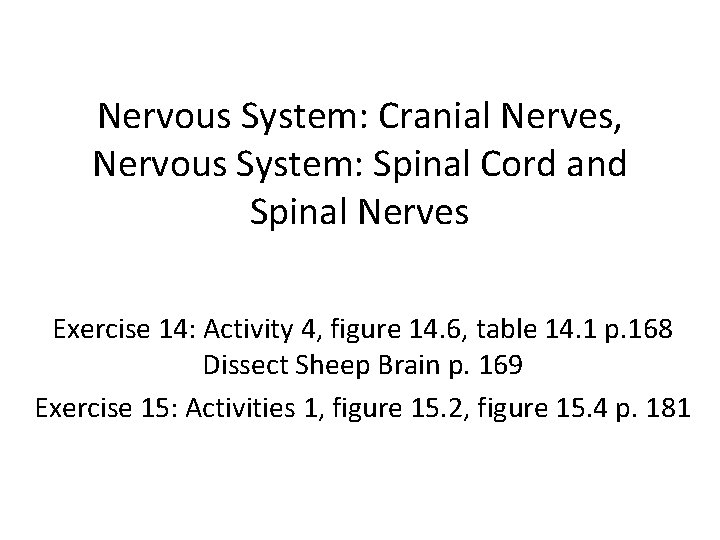 Nervous System: Cranial Nerves, Nervous System: Spinal Cord and Spinal Nerves Exercise 14: Activity