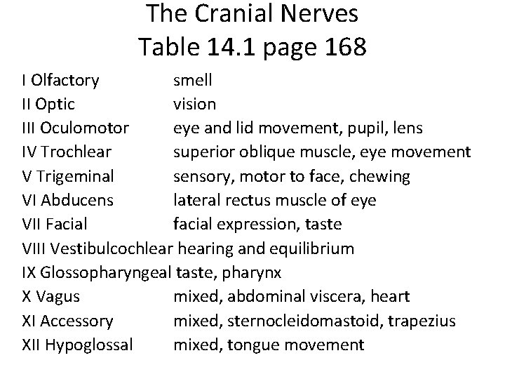 The Cranial Nerves Table 14. 1 page 168 I Olfactory smell II Optic vision