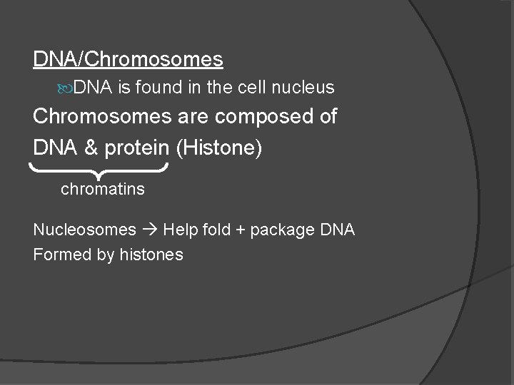CHAPTER 8 8 2 DNA Structure Replication DNACarries