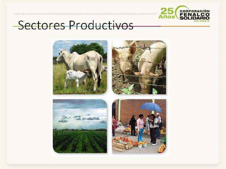 Sectores Productivos 