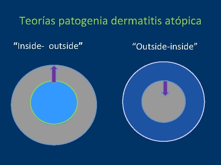 Teorías patogenia dermatitis atópica “Inside- outside” “Outside-inside” 