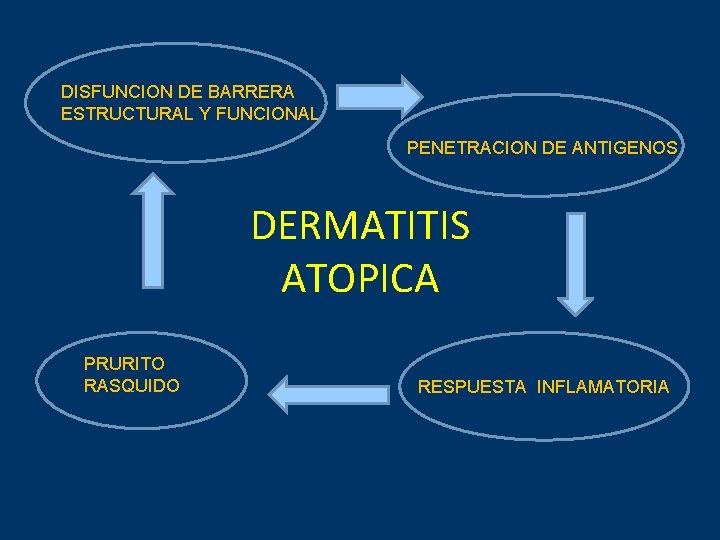 DISFUNCION DE BARRERA ESTRUCTURAL Y FUNCIONAL PENETRACION DE ANTIGENOS DERMATITIS ATOPICA PRURITO RASQUIDO RESPUESTA