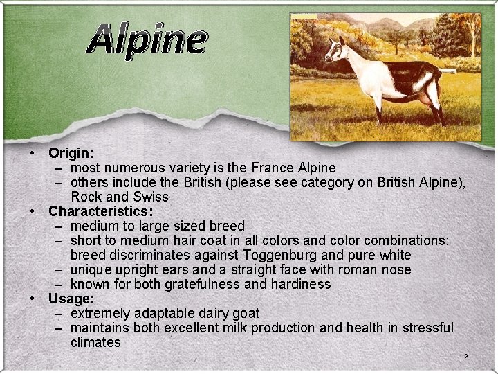 Alpine • Origin: – most numerous variety is the France Alpine – others include