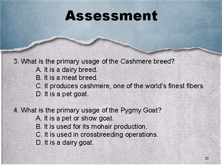 Assessment 3. What is the primary usage of the Cashmere breed? A. It is