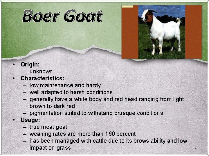 Boer Goat • Origin: – unknown • Characteristics: – low maintenance and hardy –