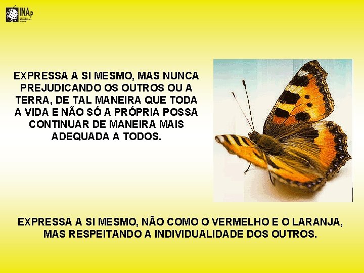 EXPRESSA A SI MESMO, MAS NUNCA PREJUDICANDO OS OUTROS OU A TERRA, DE TAL