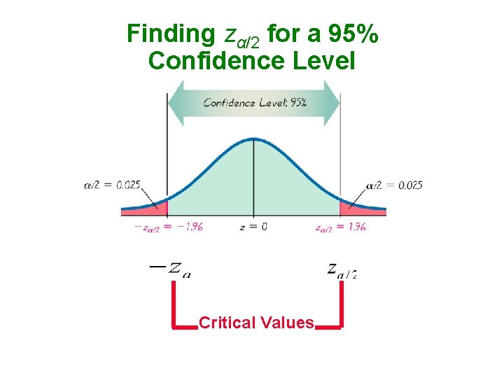 Finding zα/2 for a 95% Confidence Level Critical Values 