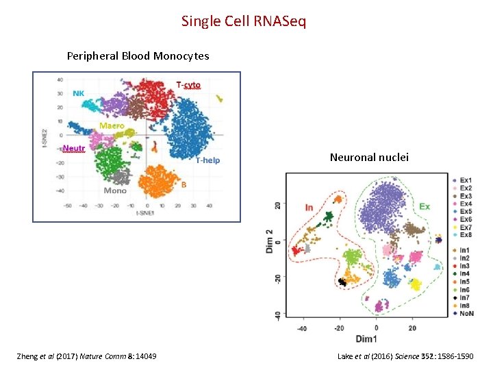 Single Cell RNASeq Peripheral Blood Monocytes Neuronal nuclei Zheng et al (2017) Nature Comm