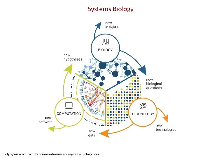 Systems Biology http: //www. omicscouts. com/en/disease-and-systems-biology. html 