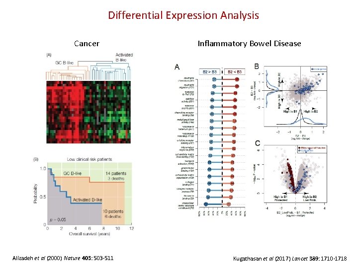 Differential Expression Analysis Cancer Alizadeh et al (2000) Nature 403: 503 -511 Inflammatory Bowel