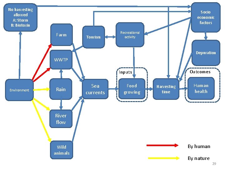 No harvesting allowed A: Storm B: Biotoxin Socio economic factors Farm Tourism Recreational activity