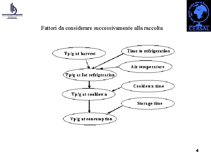 Fattori da considerare successivamente alla raccolta 4 