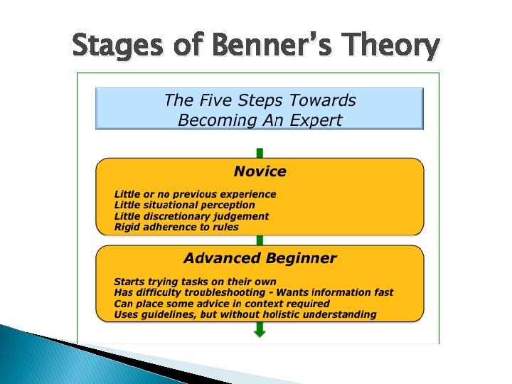 Stages of Benner’s Theory 
