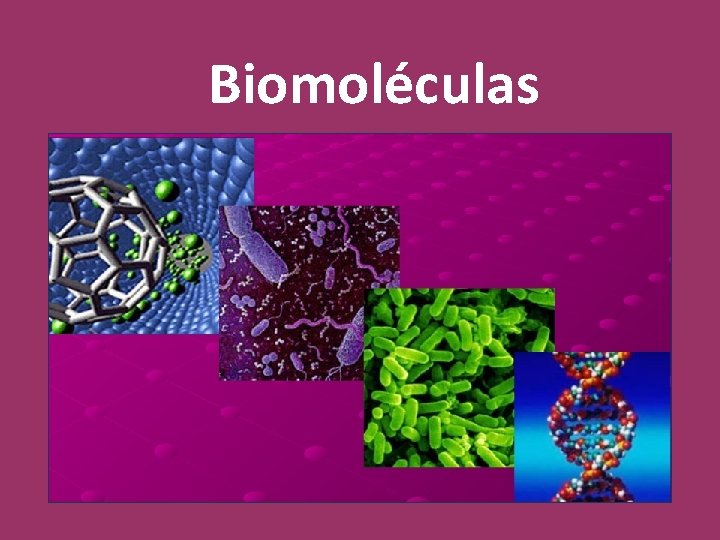 Biomoléculas 