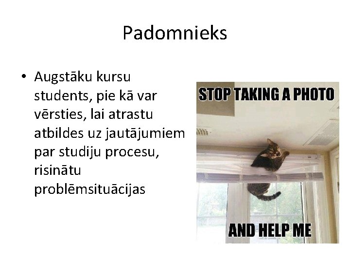 Padomnieks • Augstāku kursu students, pie kā var vērsties, lai atrastu atbildes uz jautājumiem