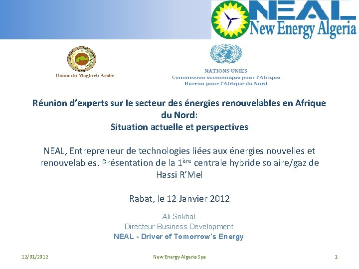 Réunion d’experts sur le secteur des énergies renouvelables en Afrique du Nord: Situation actuelle