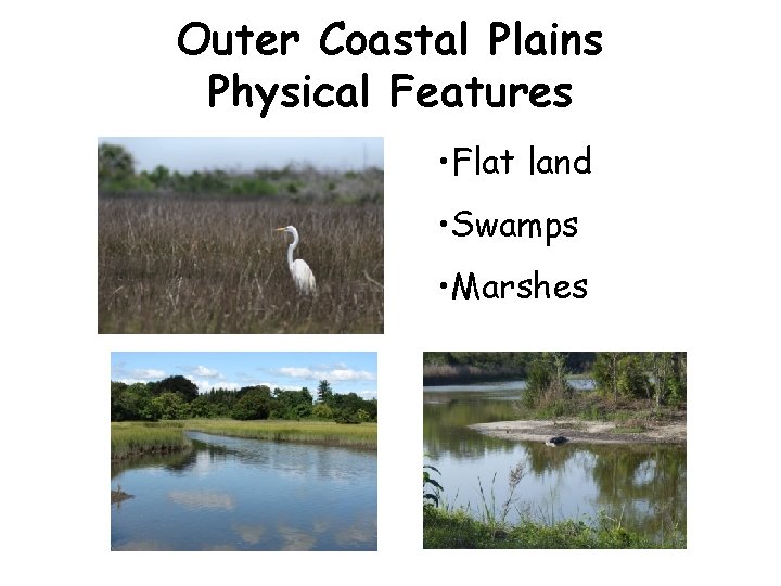 Outer Coastal Plains Physical Features • Flat land • Swamps • Marshes 
