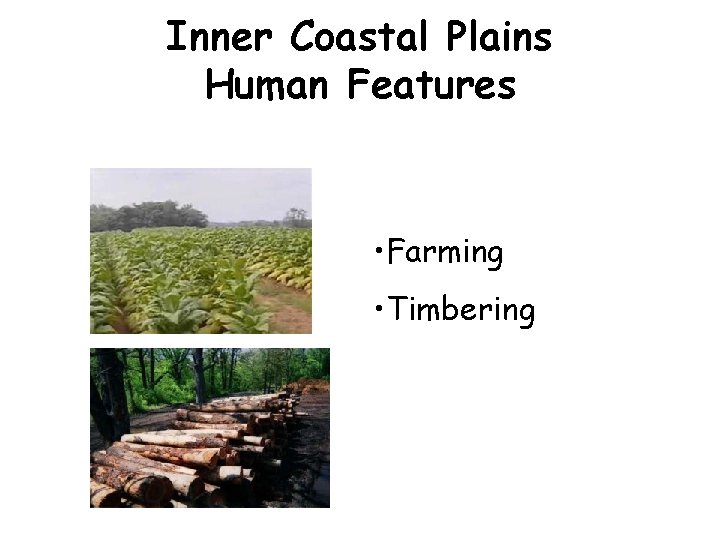 Inner Coastal Plains Human Features • Farming • Timbering 