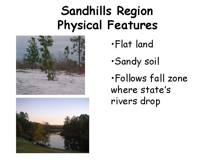 Sandhills Region Physical Features • Flat land • Sandy soil • Follows fall zone