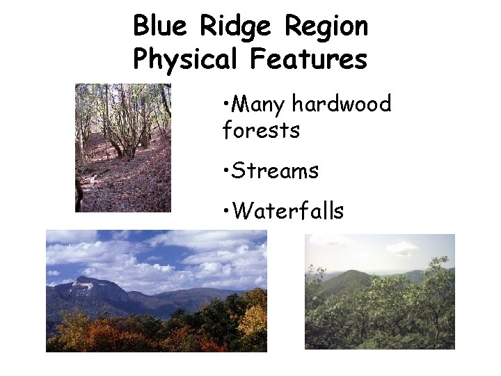 Blue Ridge Region Physical Features • Many hardwood forests • Streams • Waterfalls 