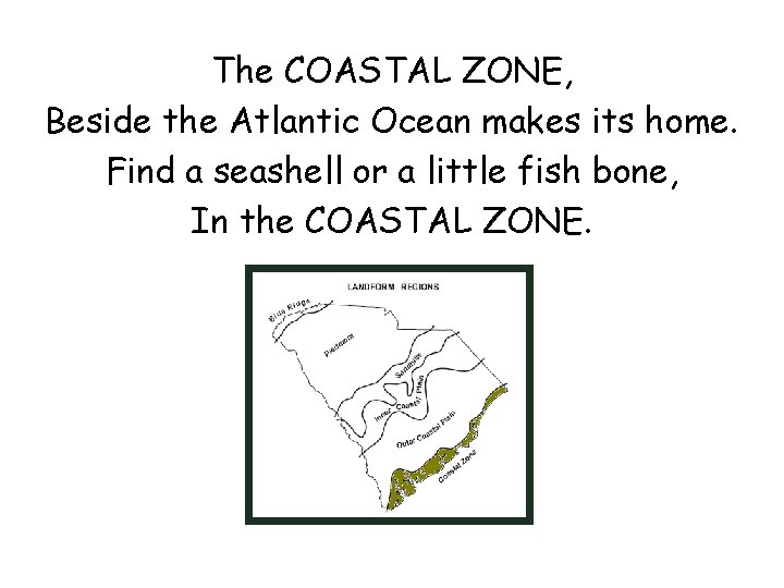 The COASTAL ZONE, Beside the Atlantic Ocean makes its home. Find a seashell or