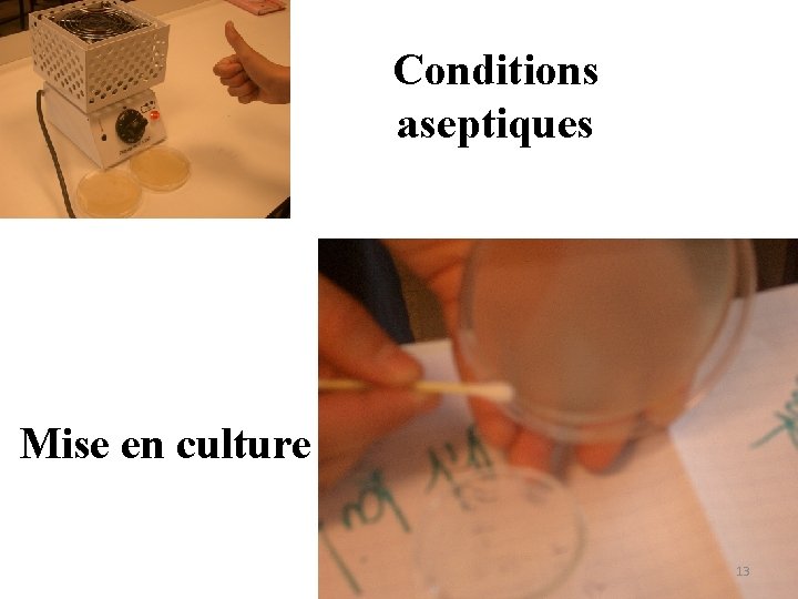 Conditions aseptiques Mise en culture 13 Conditions aseptiques Mise en culture 13