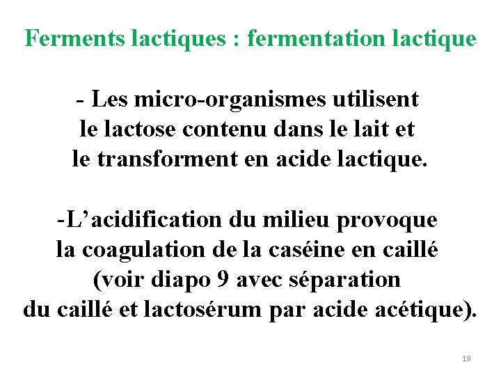 Ferments lactiques : fermentation lactique - Les micro-organismes utilisent le lactose contenu dans le Ferments lactiques : fermentation lactique - Les micro-organismes utilisent le lactose contenu dans le