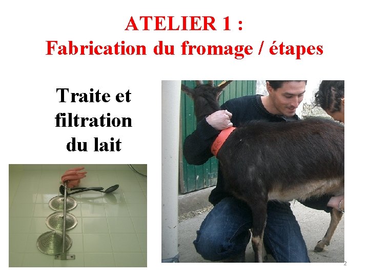 ATELIER 1 : Fabrication du fromage / étapes Traite et filtration du lait 2 ATELIER 1 : Fabrication du fromage / étapes Traite et filtration du lait 2