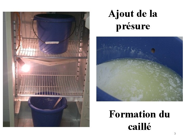 Ajout de la présure Formation du caillé 3 Ajout de la présure Formation du caillé 3